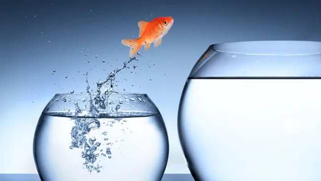 Intel's Digital Growing Pains