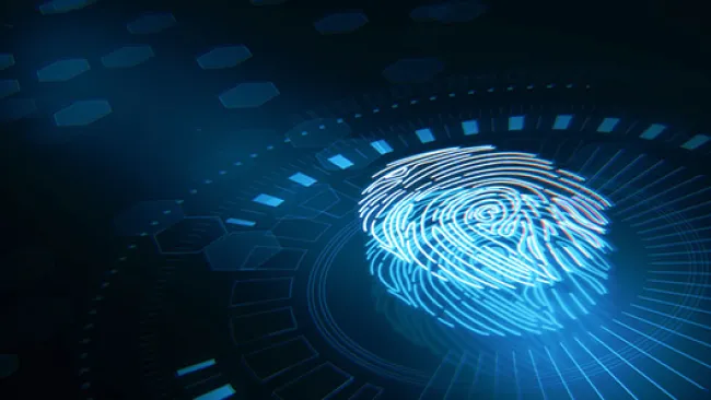 Digital image of a fingerprint on a screen 