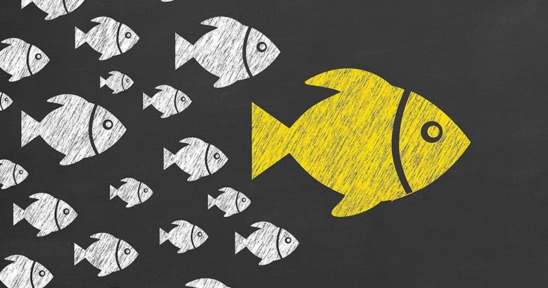 4 Reasons the C-Suite Should Care About Customer Trust