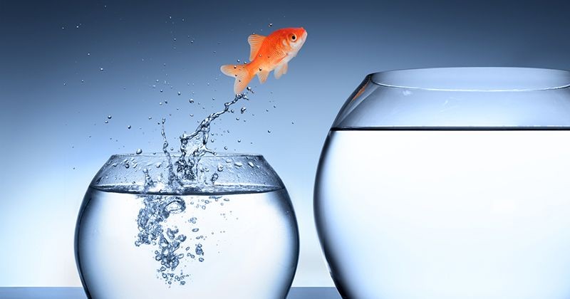 Intel's Digital Growing Pains