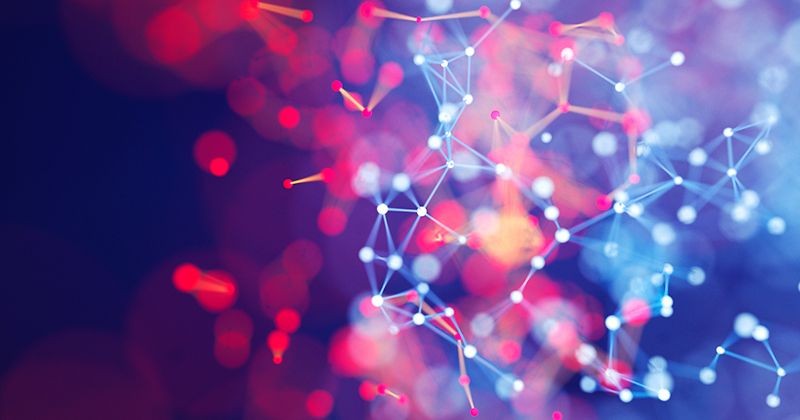 The DNA of CX Innovation